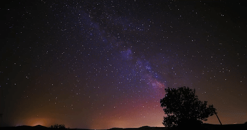 Motion Detection Program preview 1